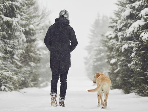 5 great winter hikes in and around Toronto
