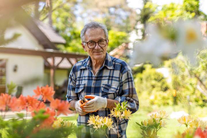 Senior man gardening