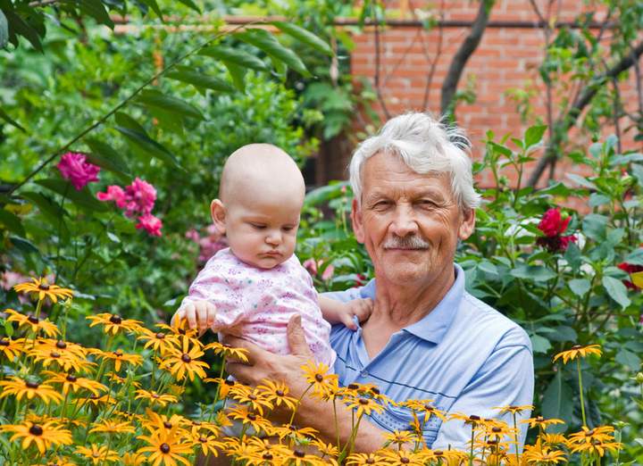 Grandfather and grandchild in the garden