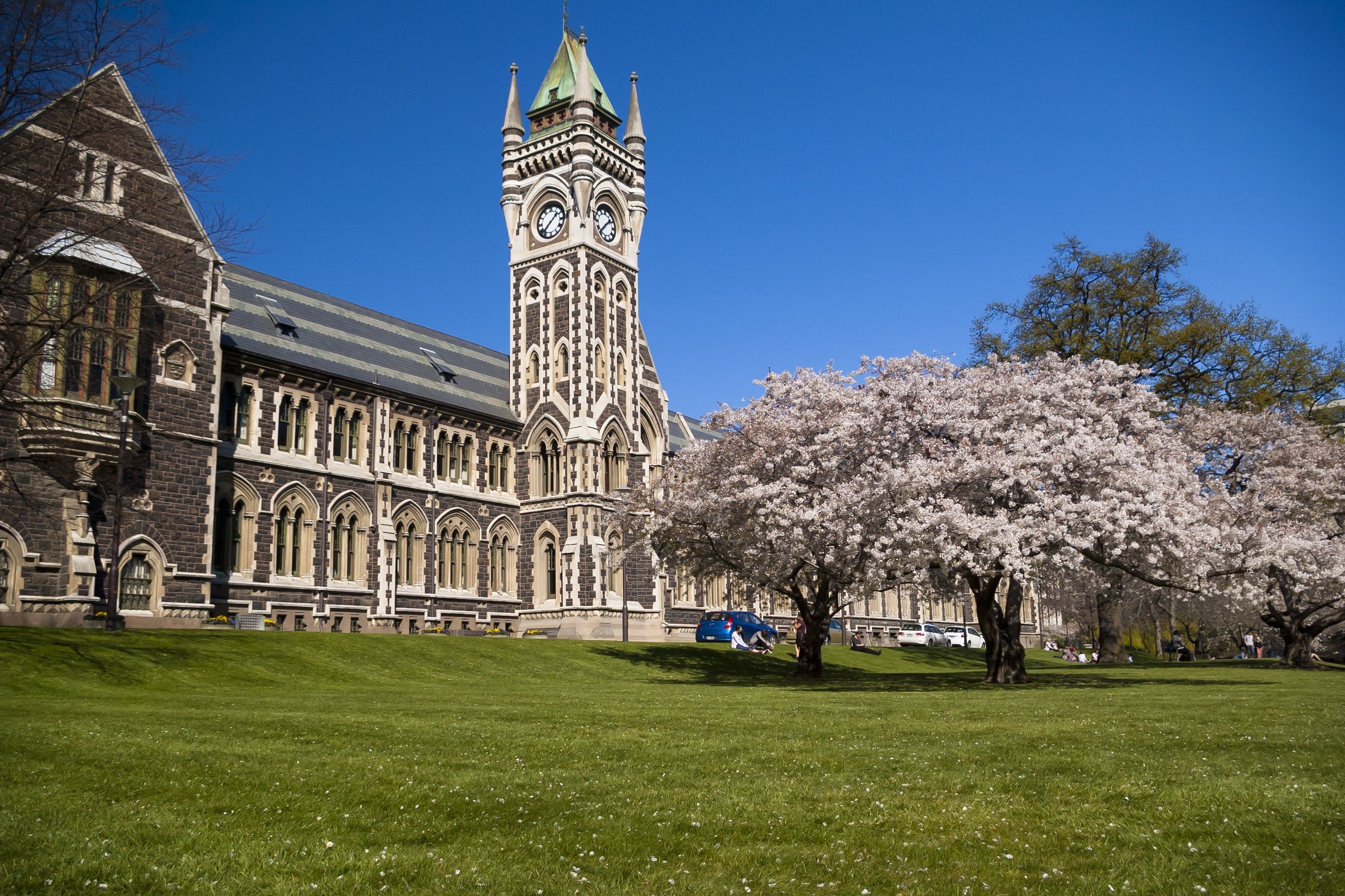 Tutor Q&A: Why I Chose the University of Otago - Crimson Education TH