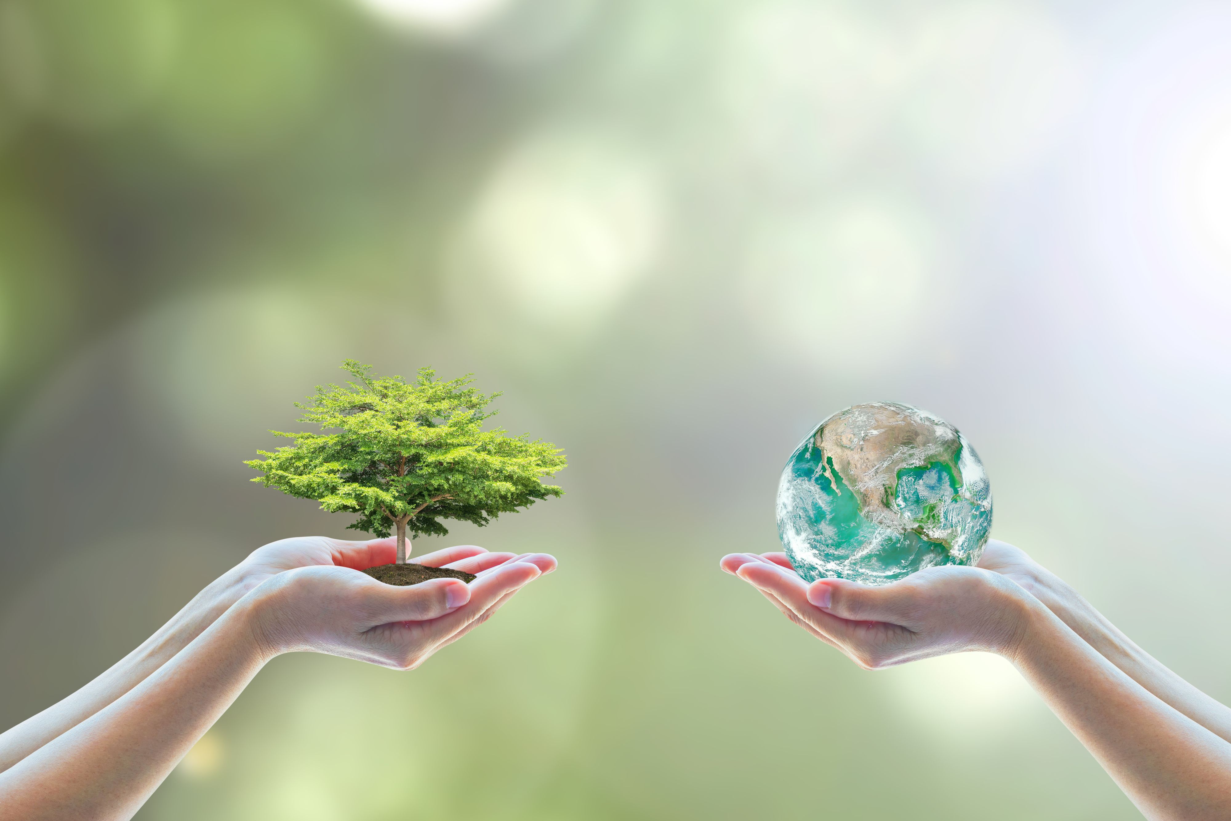 Sustainable Living: Small Steps for a Greener Future