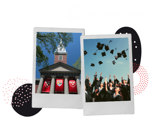 Crimson + Harvard Crimson Essay