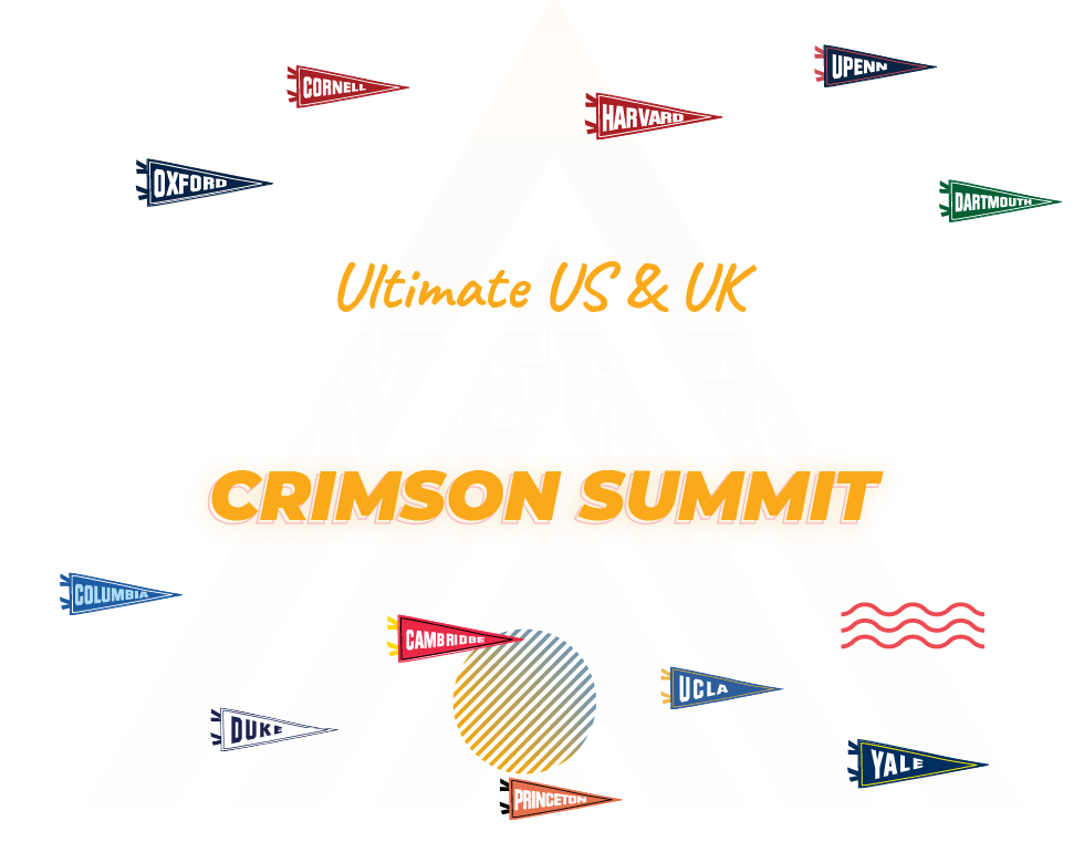 Ultimate US & UK University Summit vector with university pennant flags svg