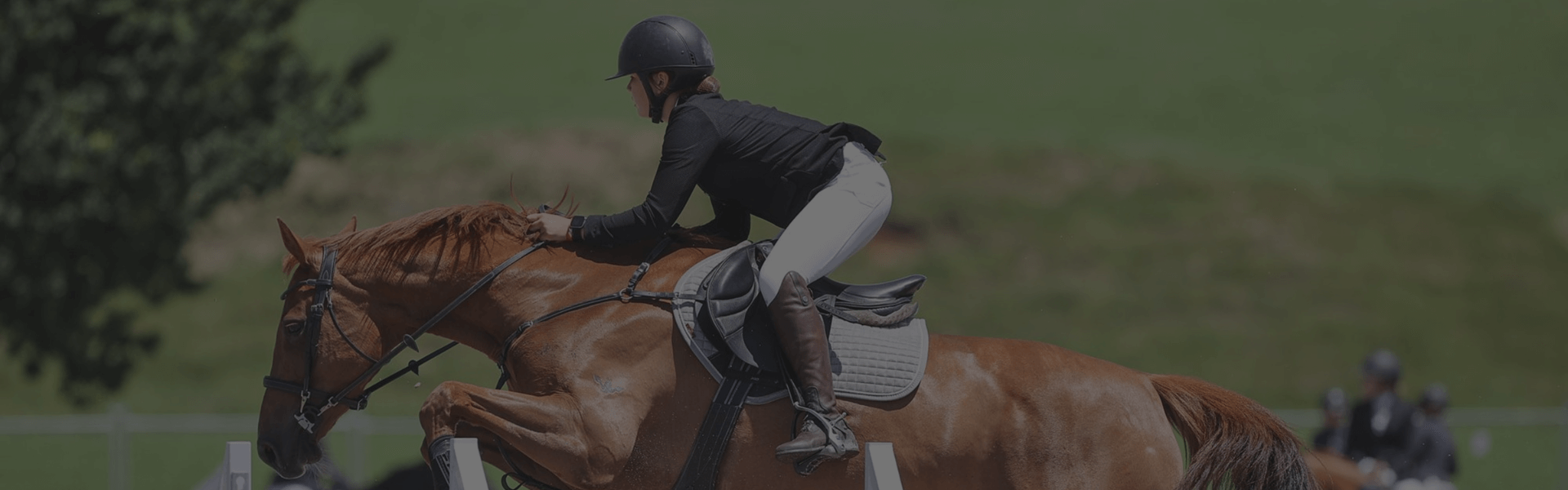 How Caterina Merged Equestrian and Academics
