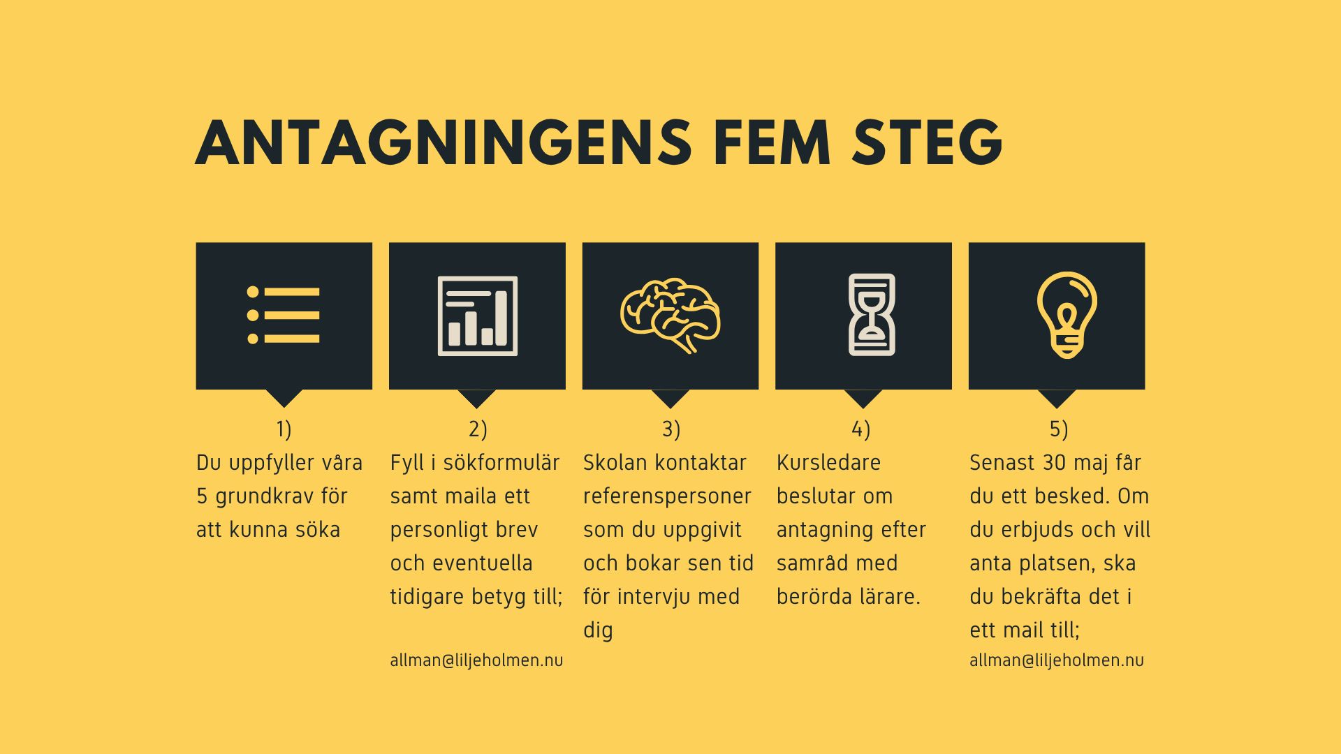 fem-steg-process