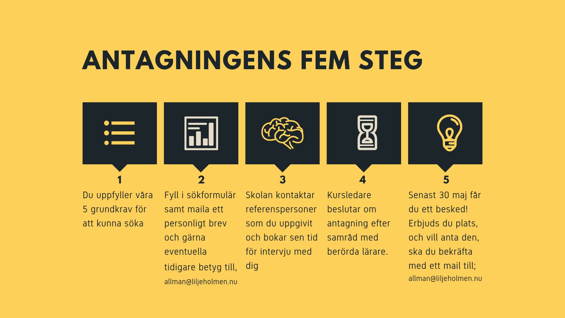 fem-steg-process