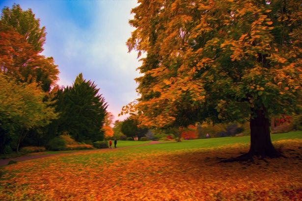 oljemålning_höstträd