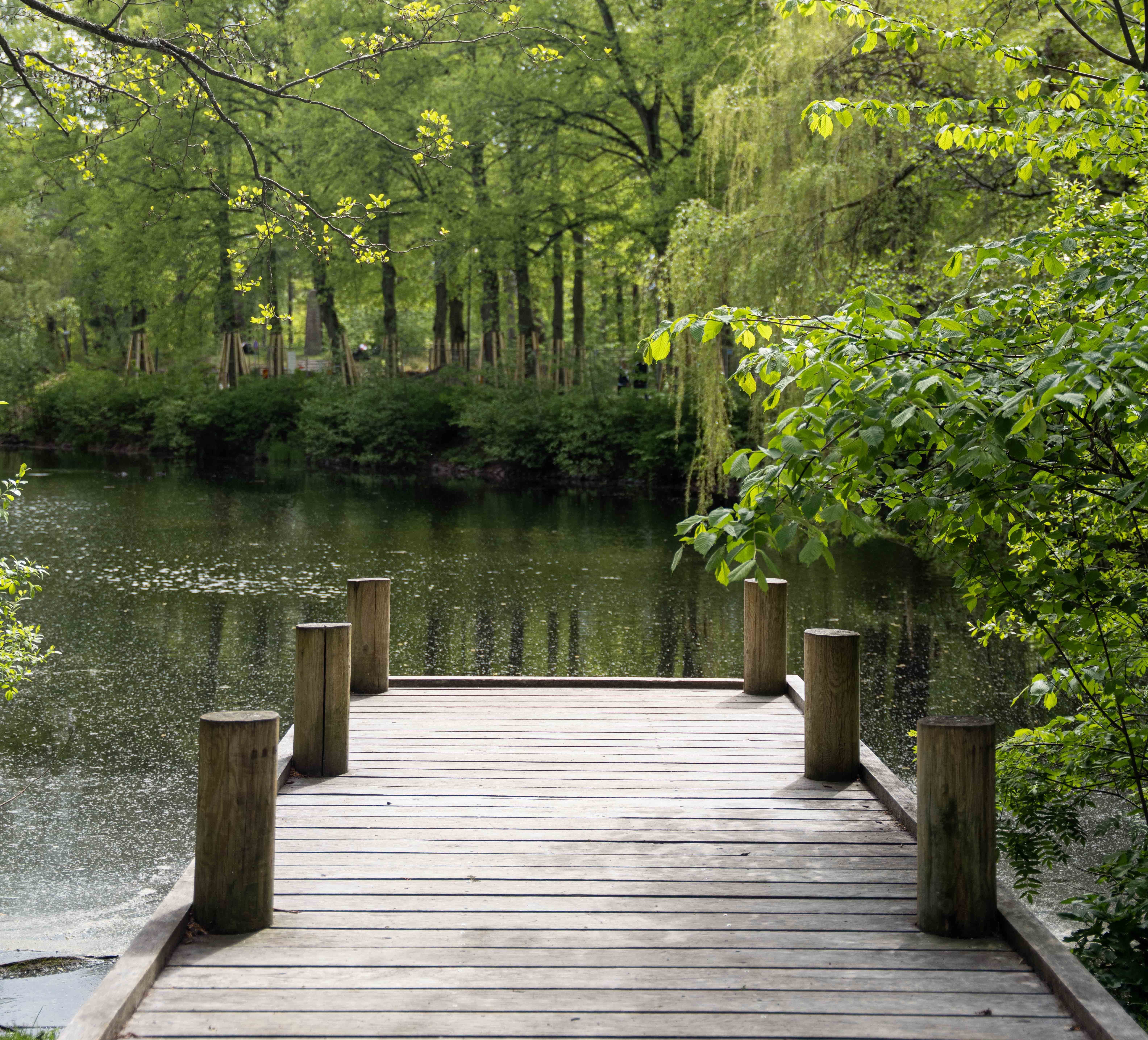 brygga i parken