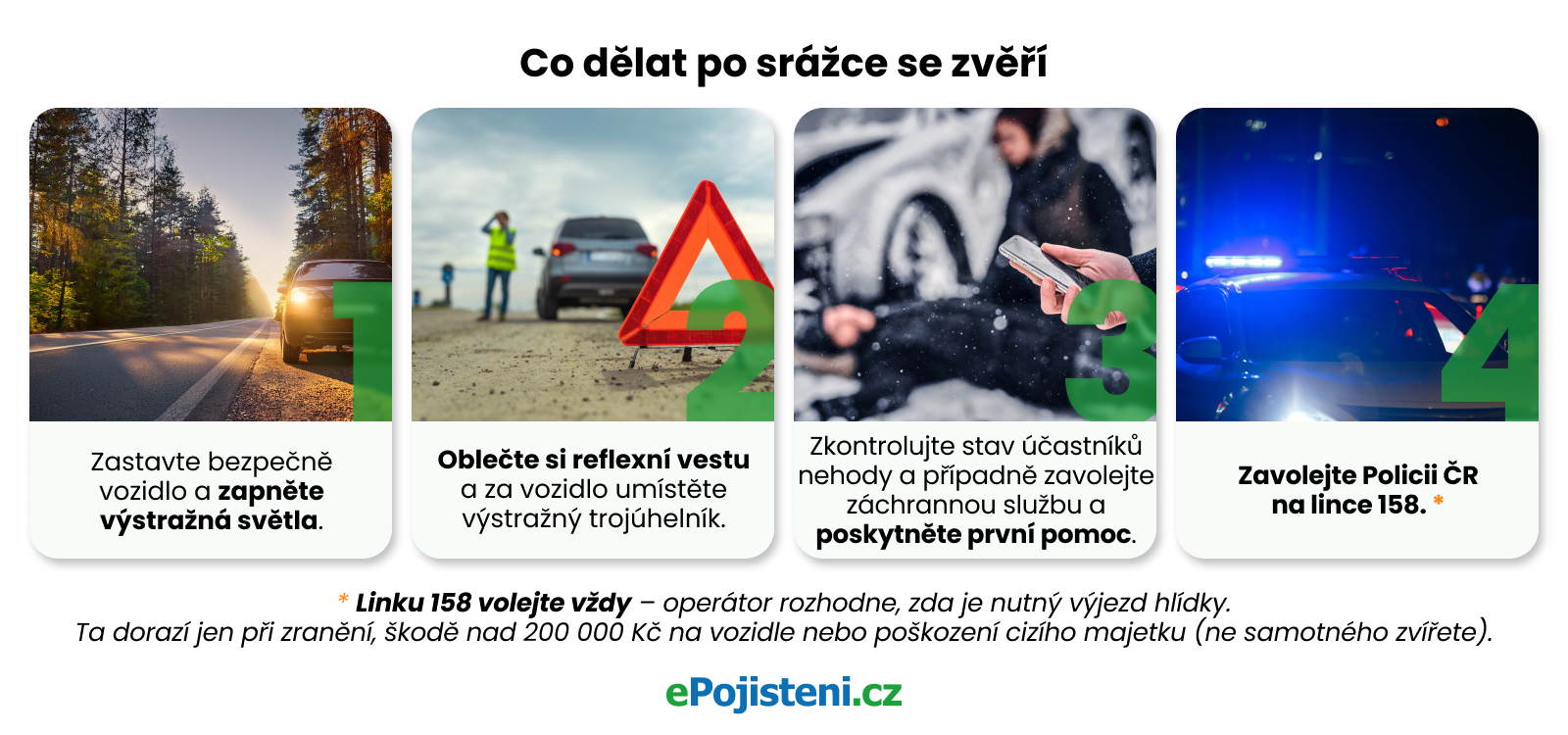 co dělat při srážce se zvěří postup