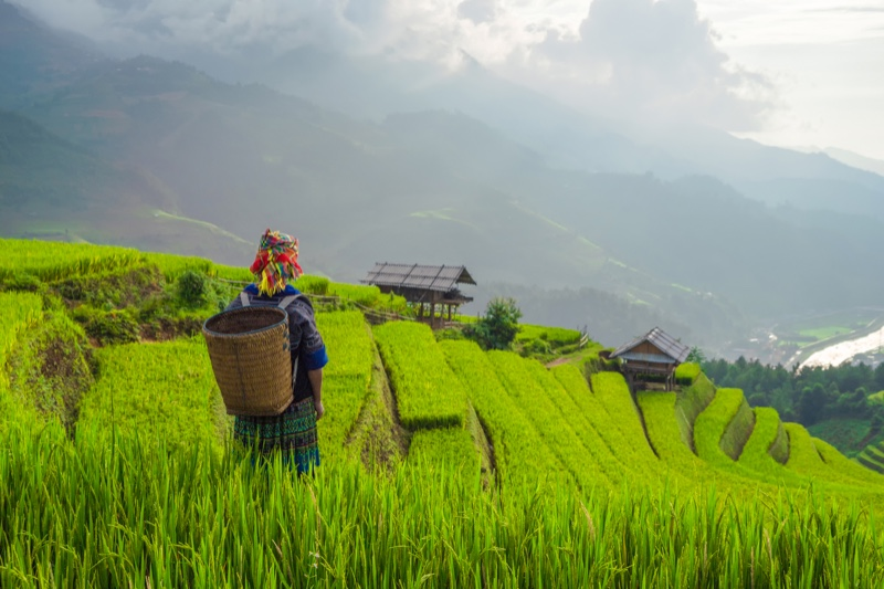 Cestovní pojištění - Vietnam