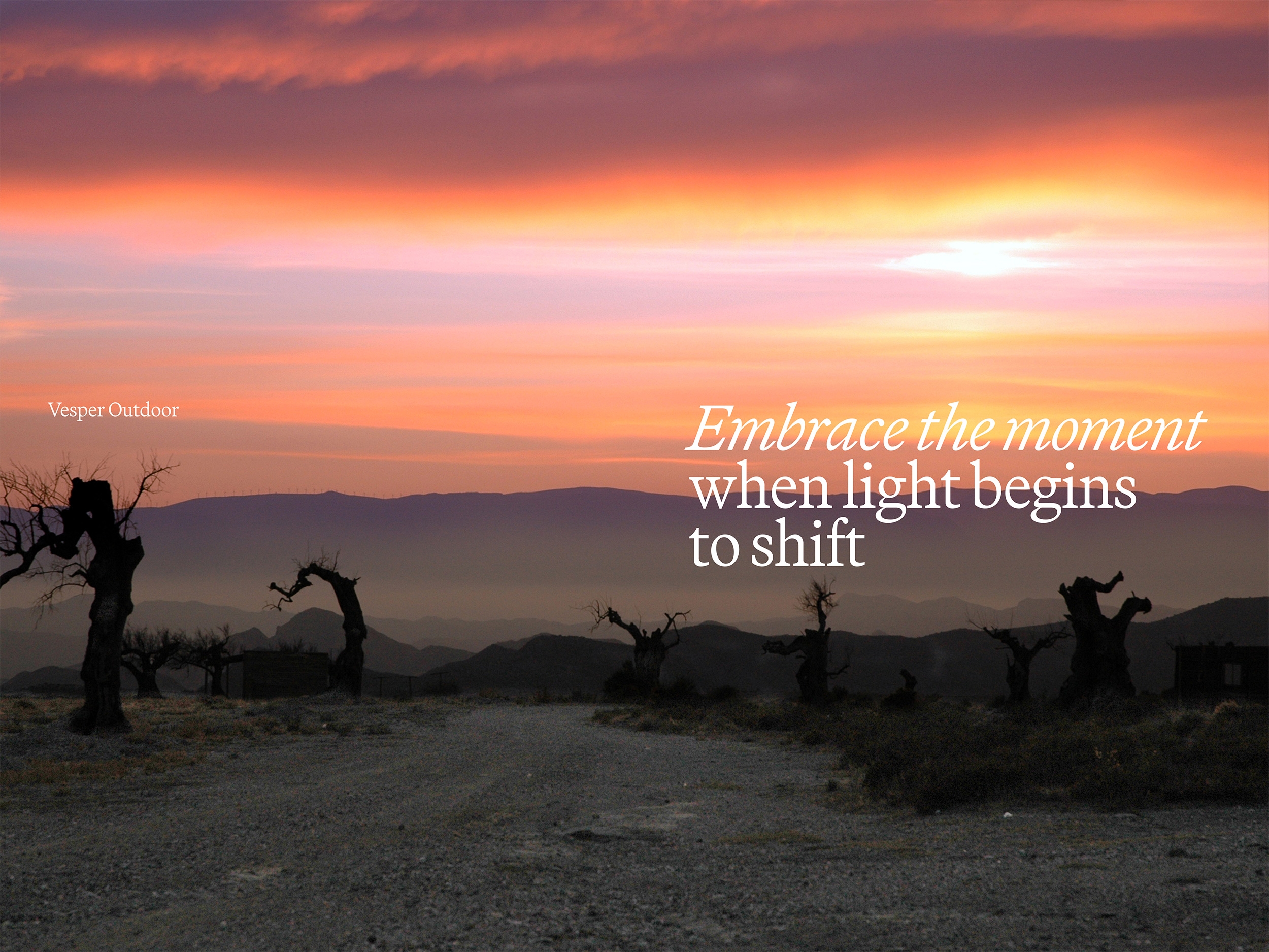 Woestijnlandschap bij zonsondergang met silhouetten van kale bomen en de tekst "Embrace the moment when light begins to shift".