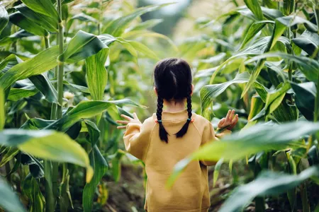 young asian girl walking through corn fields