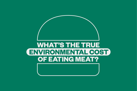 Burger-shaped image with 'what's the true environmental cost of eating meat?' written where the sandwich filling would normally be