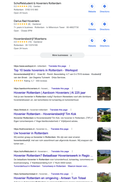 Hovenier Rotterdam - Google SERP