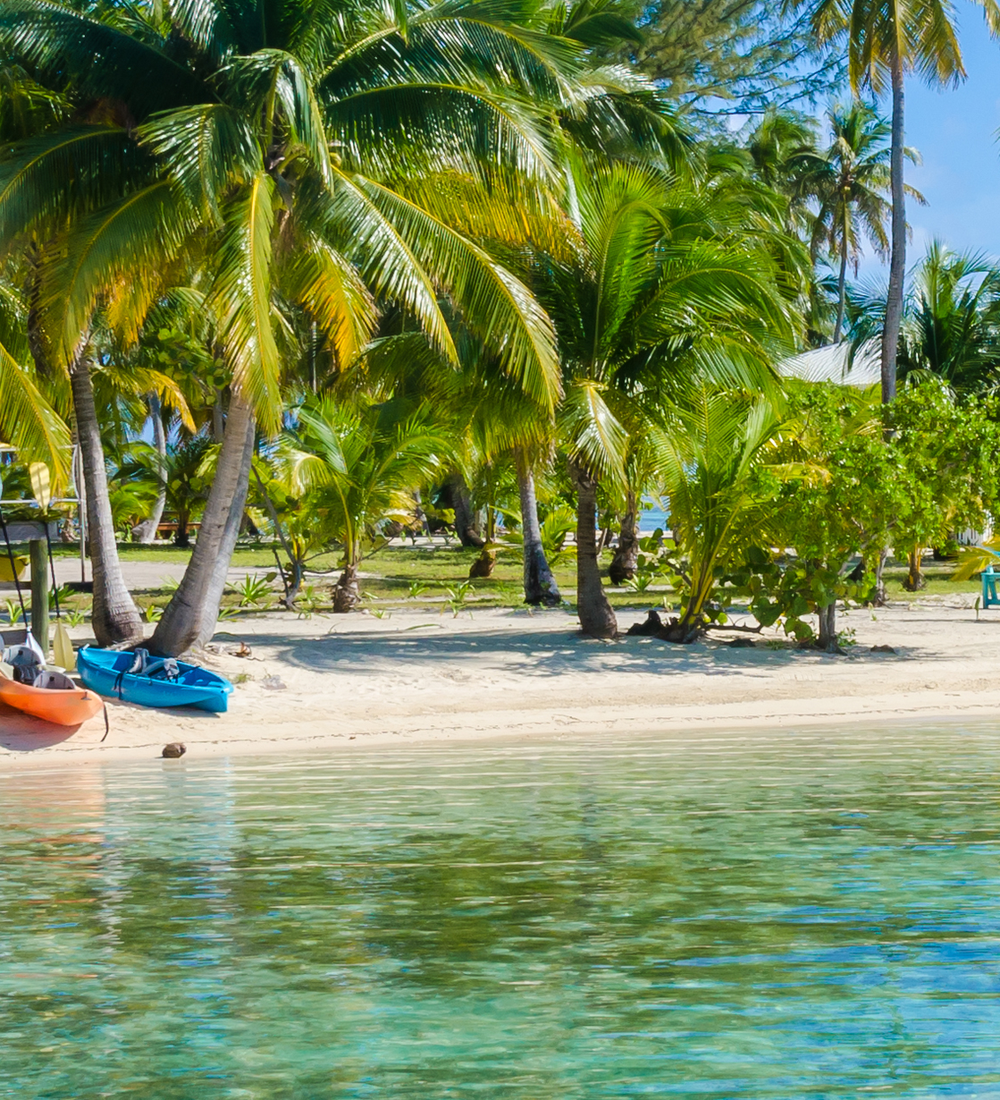 four kayaks sitting on coast of beach with palm trees