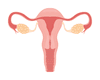 Gebärmutter-c-roche