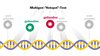 Von der DNA-Sequenz zum Wegweiser, Multigen-"Hotspot"-Test