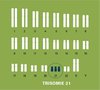 Chromosomenstörungen, Trisomie 21, 18 und 13