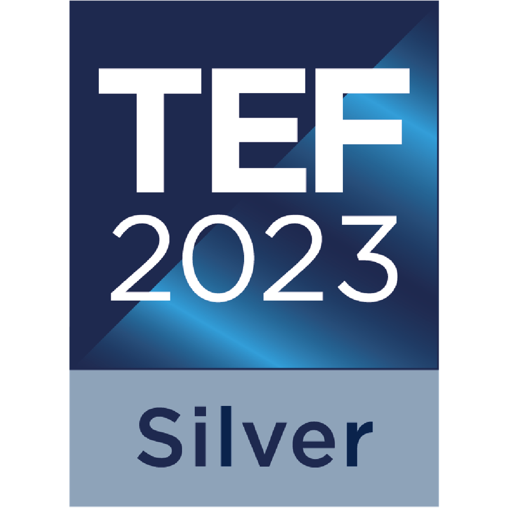 The 2023 Silver TEF Logo