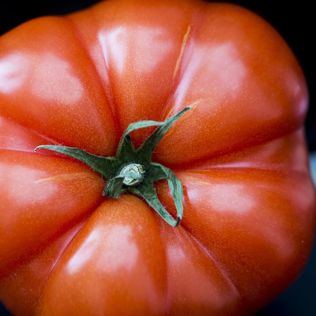 Tomatsoppa med risoni