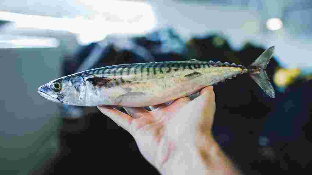 Unique Seafood Group