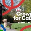 crown for causes leo uk