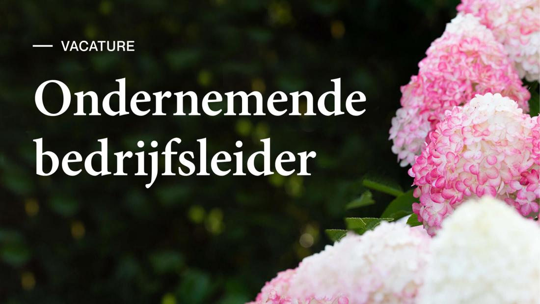 Alex Schoemaker