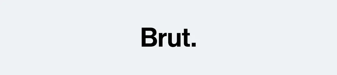 Brut Video Translation