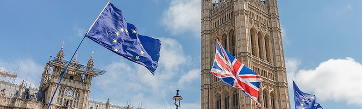 britský parlament s vlajkami
