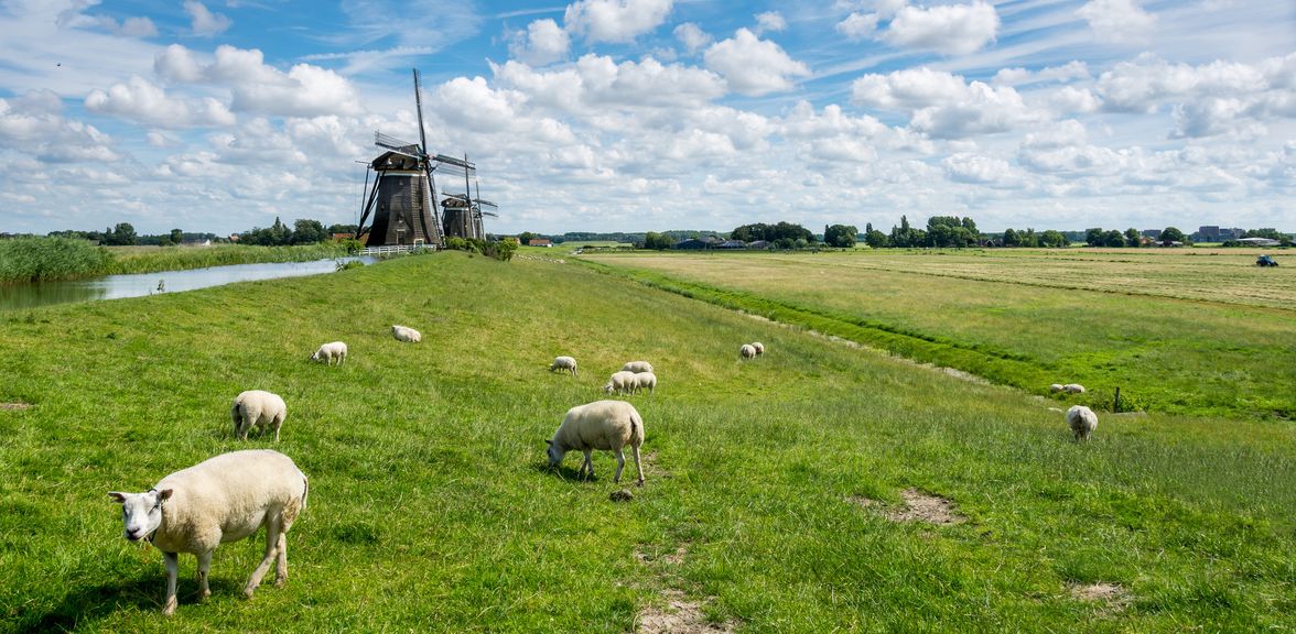  8x mooiste wandelroutes in Noord-Holland