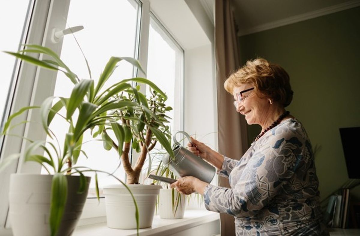 Beyond the Basics: The Independent Living Amenities You Deserve in Sussex County