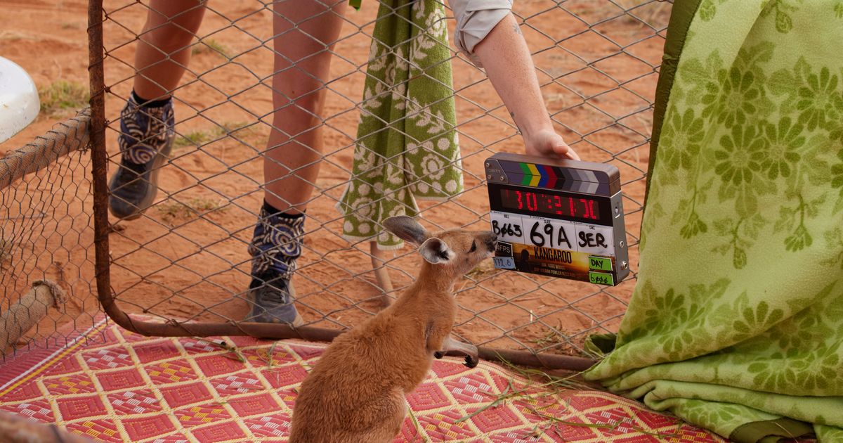 Crocs, shocks & frocks: classic Aussie movies filmed in the NT