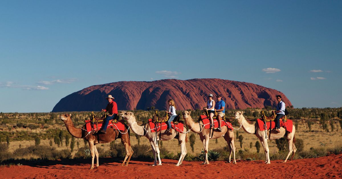 Camel riding at Uluru | Northern Territory, Australia