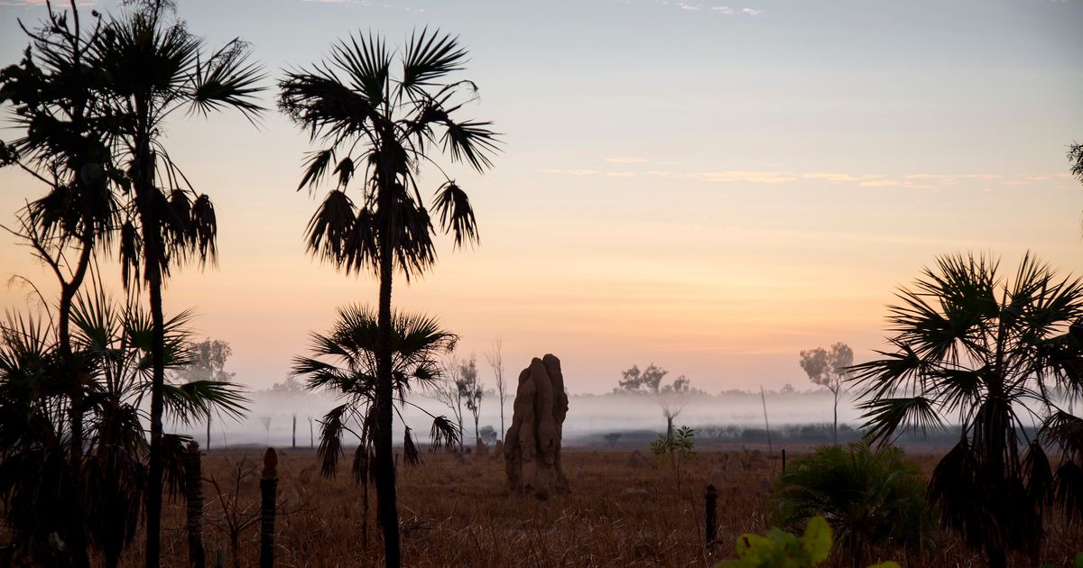 National parks in Darwin | Northern Territory, Australia