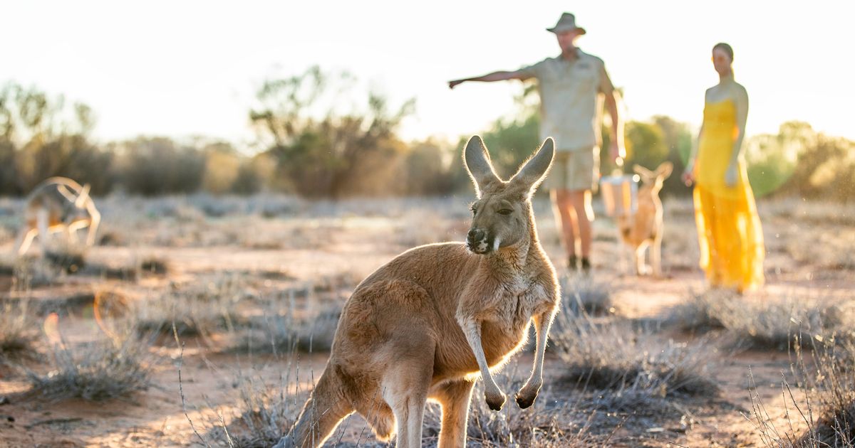 Nature & wildlife in the NT | Northern Territory, Australia