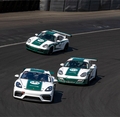 Three Porsche cars race livery branding Stuurmen Triple Crown