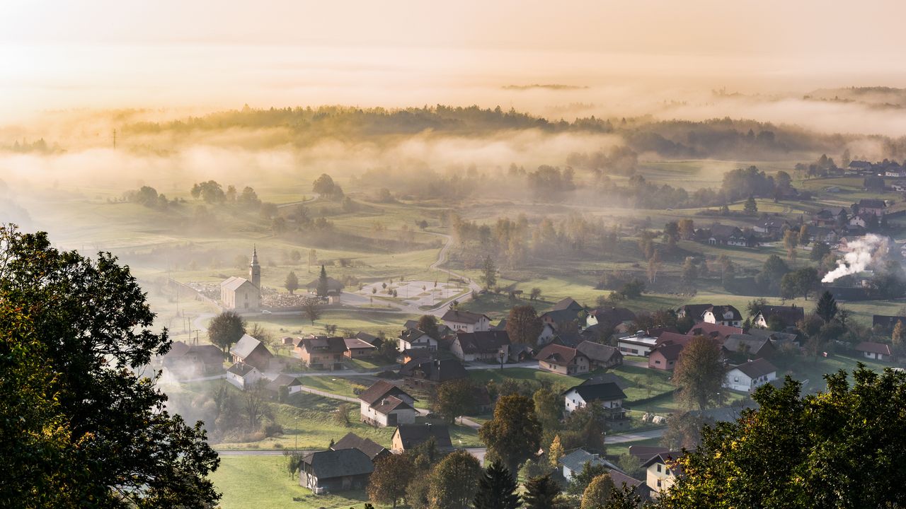 A misty morning in Bela Krajina