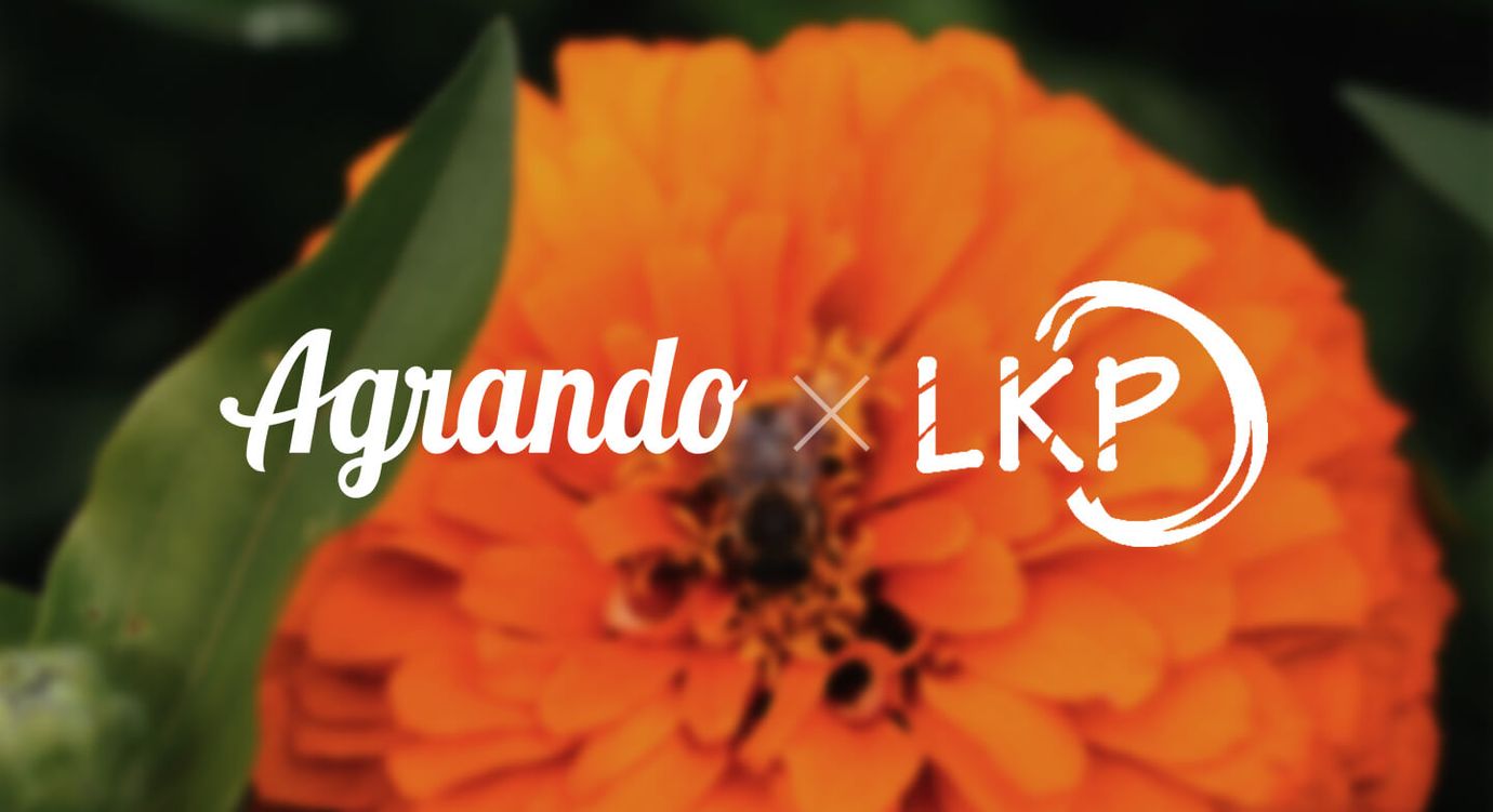 Agrando und LKP Logo