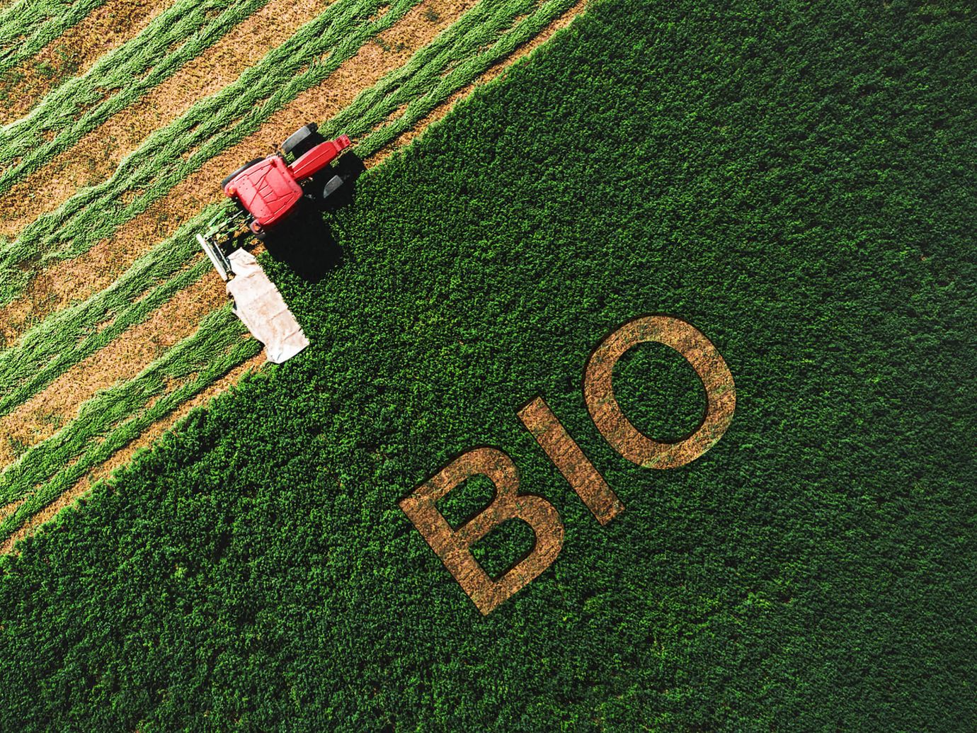Crop field with the word "Bio" mowed into it