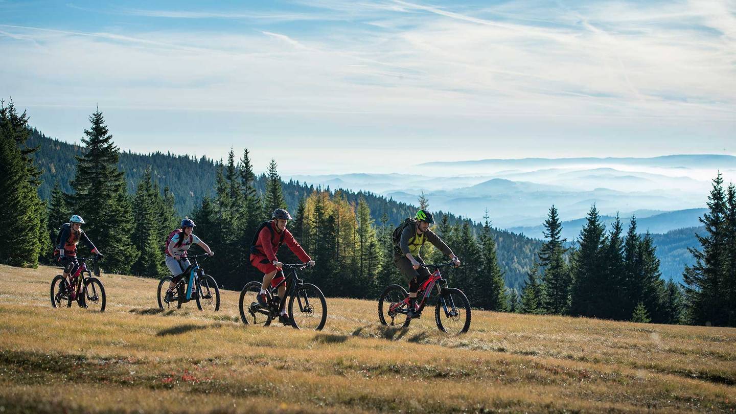Panoramatrails Mountainbiken Wexl Trails 