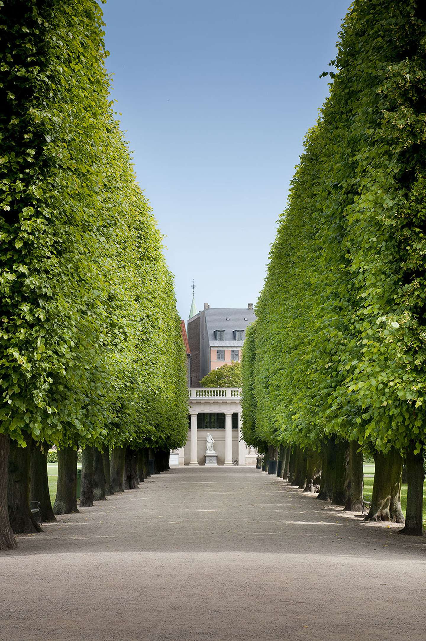 An avenue in the King's Garden