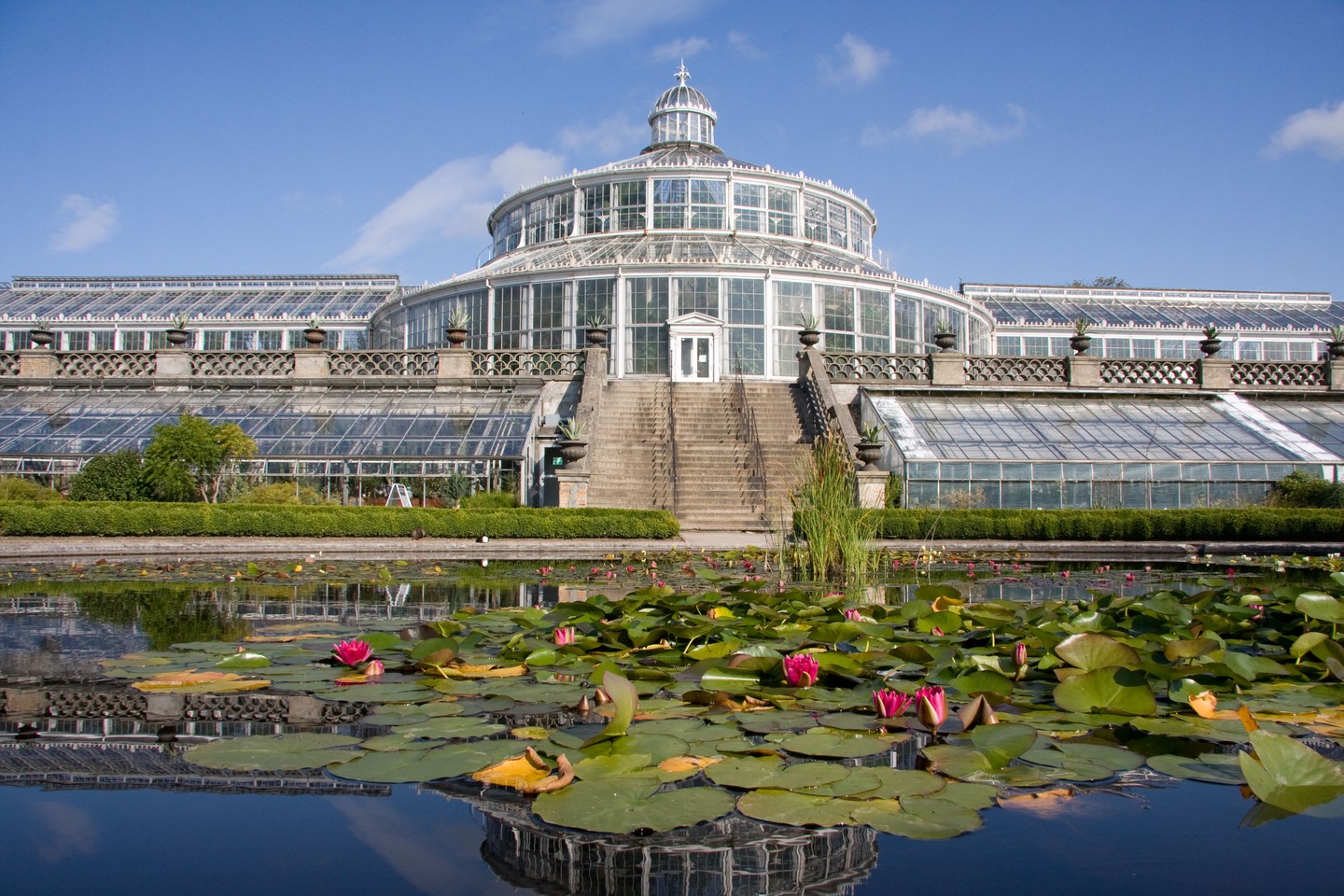 The Palm House in the Botanical Garden 