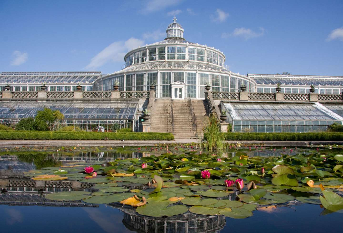 The Palm House in the Botanical Garden. Photo: Jens Astrup