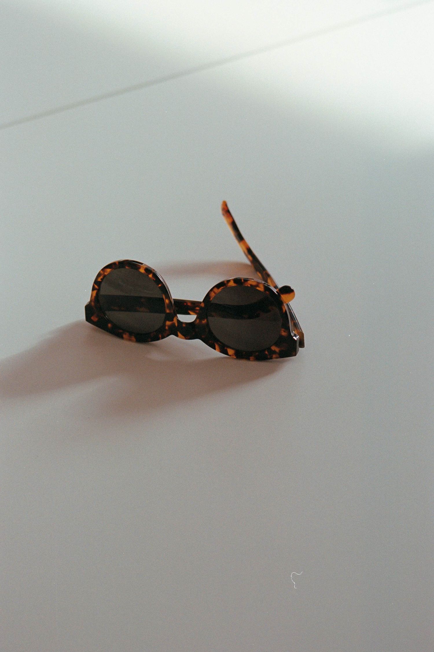 Shiro Havana - Monokel Eyewear – Monokel Eyewear