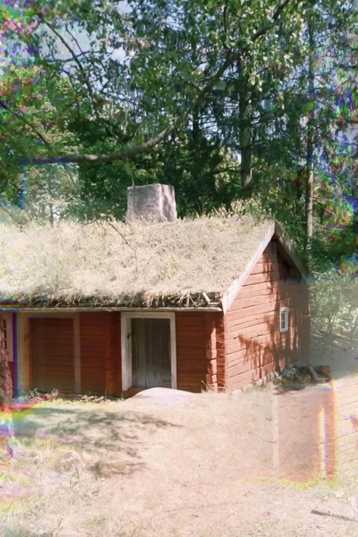 Falurod on acid