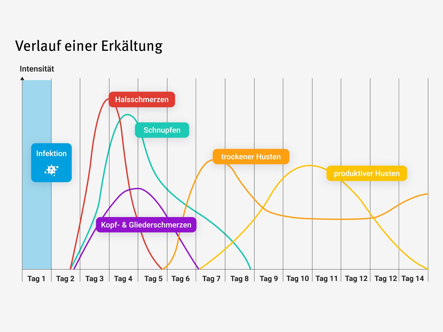 Diese Grafik zeigt die verschiedenen Stufen und die Dauer einer Erkältung an.