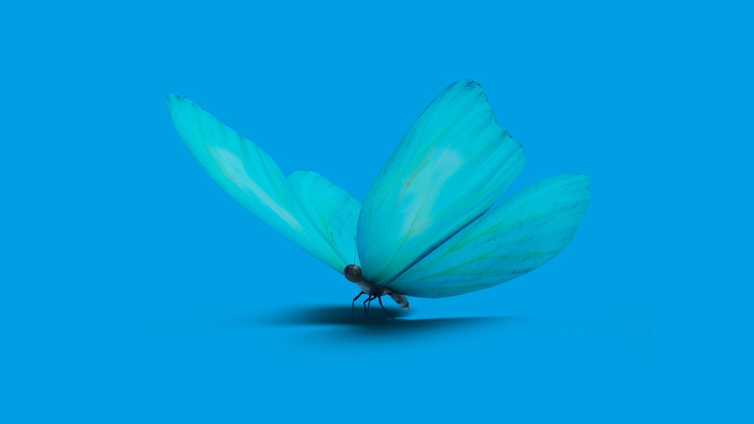 3D modellierter Schmetterling