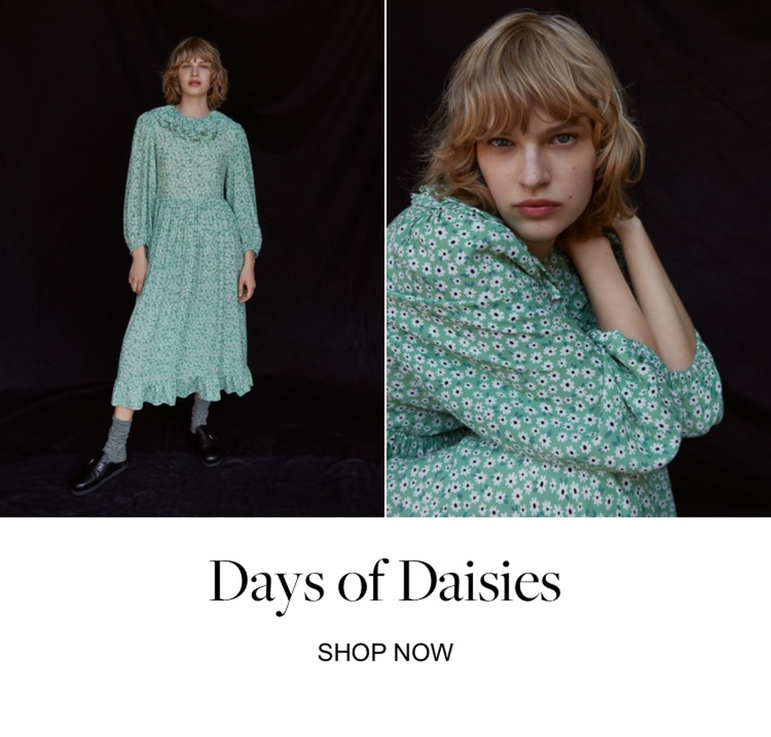 Edited Trend Days for Daisies Daisy Print