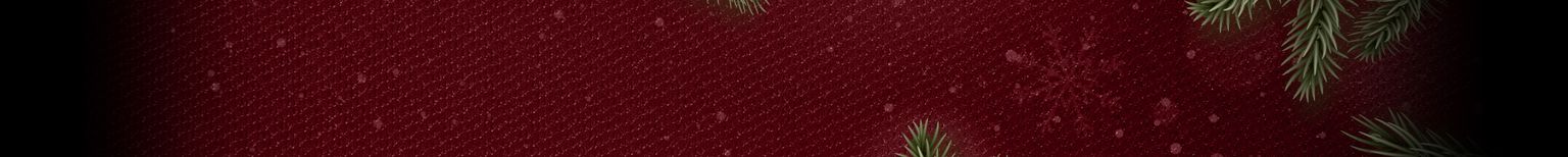 xmas-banner-ohne-text-10_1_1