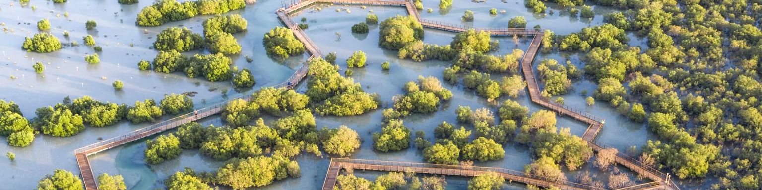 An aerial view of Jubail Mangrove Park